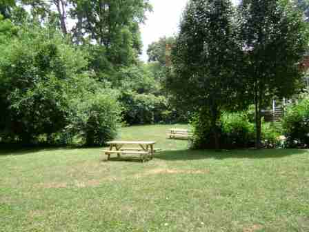 Back Yard Picnic Area